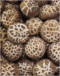 Шиитаке, грибы шиитаке