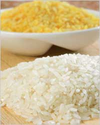 Рис: сарацинское зерно