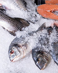 Принципы хранения и приготовления рыбы
