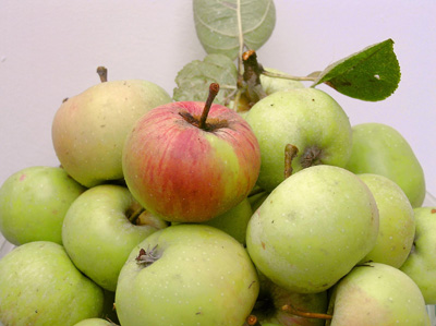 Бодрящие яблоки