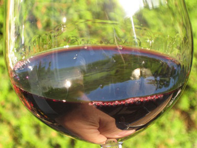Для вина нужны бокалы из самого тонкого стекла