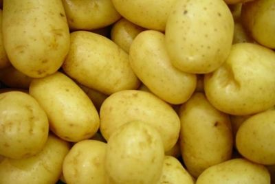 Федералы рассмотрели вопрос об ограничении потребления картофеля детьми