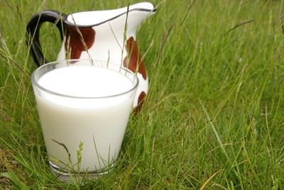 Козье и верблюжье молоко названо суперпродуктами