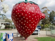 Австралийские фермеры изменили форму знаменитой гигантской клубники