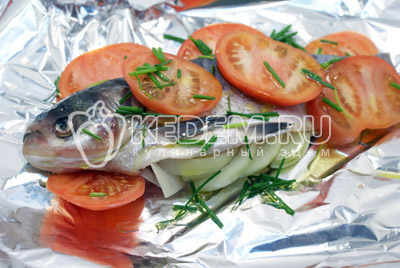Посыпать нашинкованным зеленым луком. - Толстолобик с томатами. Фото рецепт приготовление толстолобика с овощами запеченного в фольге.