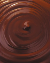 Бобы какао