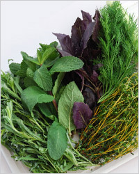 http://www.kedem.ru/photo/articles/20090323-vitamins-08.jpg