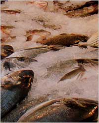 Морепродукты и ваше здоровье