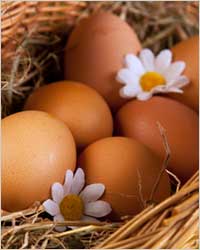 TOP 10 продуктов для красивых зубов - Яйца куриные