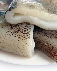 кальмары
