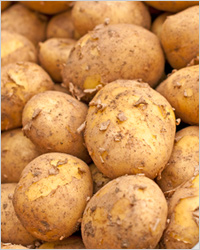 картофель