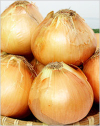 лук