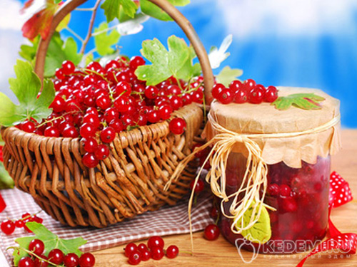 Заготовки из красной смородины на зиму