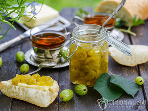 Заготовки крыжовника на зиму