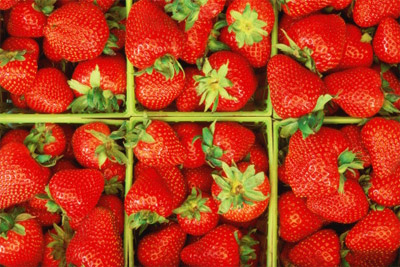 Выявлено превышение предельно допустимого уровня химикатов в пищевых продуктах на 200%