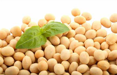 Соевые продукты в больших количествах опасны