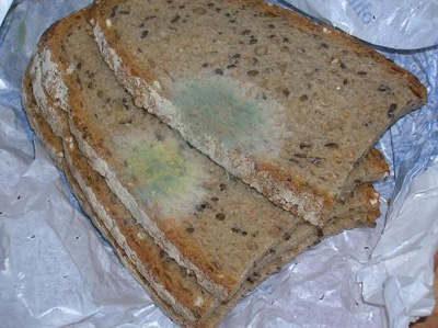 Выбраковка продуктов – что и когда