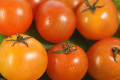 5 продуктов, которые следует есть чаще