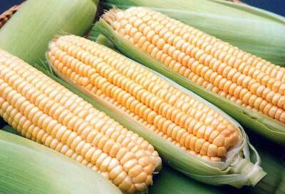 Самые «скандальные» продукты Самые «скандальные» продукты