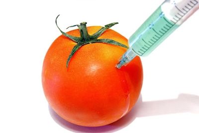 Как избежать генно-модифицированных продуктов.
