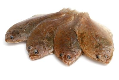 Морской окунь и камбала становятся модными