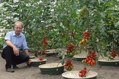 Найден способ выращивать сады в пустыне