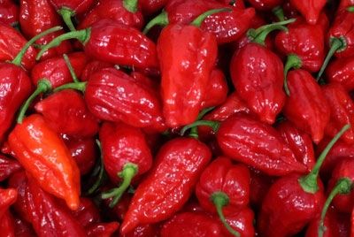 Две жертвы карри угодили в больницу