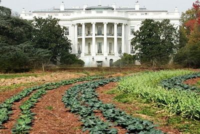 Первая леди США пишет книгу
