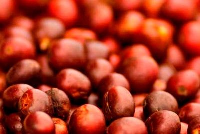Nestle выпускает «марочный» кофе
