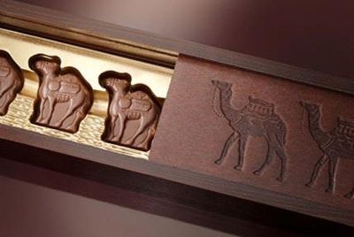 Самый дорогой шоколад делают из молока верблюдов