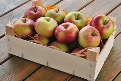 Органические продукты не полезнее обычных