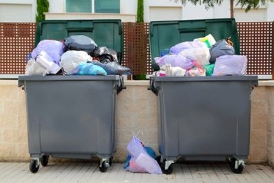 Американцы выбрасывают почти половину продуктов