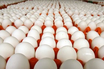 Китайские власти предлагают вознаграждение за информацию о небезопасных пищевых продуктах