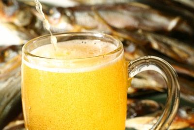 Начата разработка синтетических пивных дрожжей