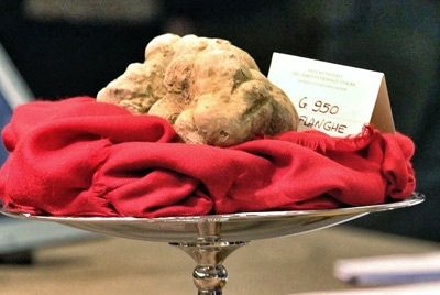 Неизвестный человек подарил мэру Нью-Йорка трюфель за 8000$
