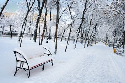 Ученые считают, что ожирение может быть связано с холодным климатом