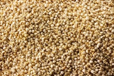 Новый суперпродукт – фонио