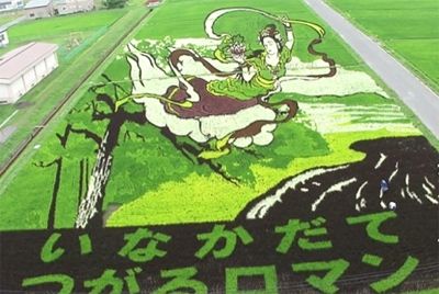 Картины на рисовых полях Японии