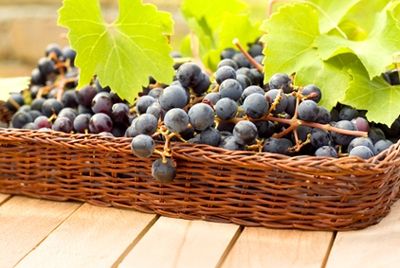 Итальянские виноделы расстроены собранным урожаем
