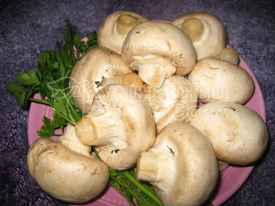 Шампиньоны