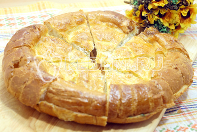 Ленивые лепешки с сыром и зеленью в духовке готовы