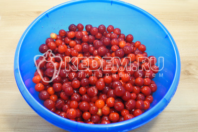 Вишни хорошо промыть и обсушить.