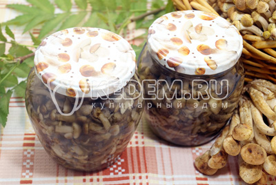 Маринованные опята на зиму в банках готовы