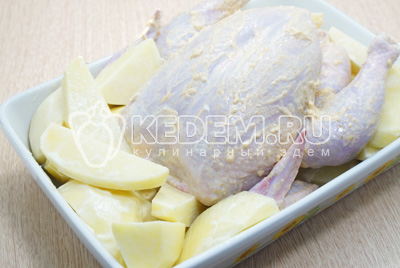 Выложить в форму картофель и сверху выложить курицу.