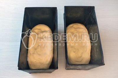 Заложить тесто в формы только на 1/3 от их объема.
