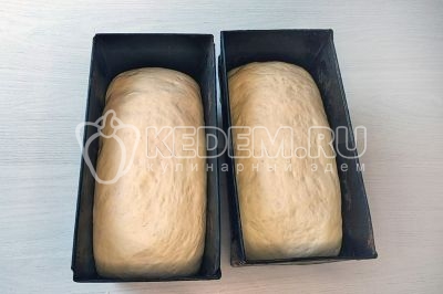 Пока тесто не увеличится в размерах до половины формы.