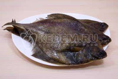 Чтобы приготовить камбалу жареную в муке и панировочных сухарях, нужно каждую камбалу промыть и очистить ножом кожу.