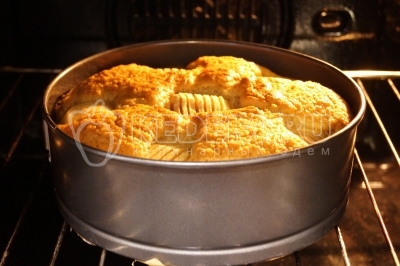 Выпекать в разогретой до 180 градусов Цельсия духовке 35-40 минут.