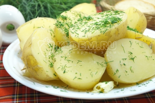 Молодая картошка с укропом
