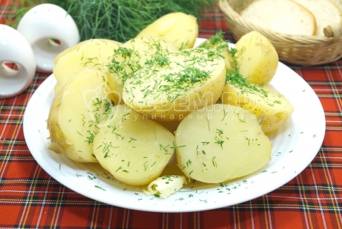 Отварной молодой картофель с укропом